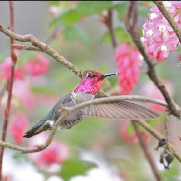 Meet your Posher, Rebecca - Picture 1 of 1